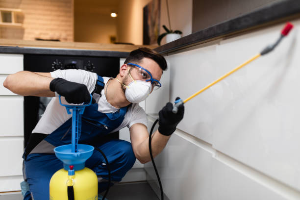 Best Mosquito Control Services  in Louisvle, IL