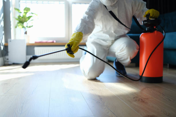 Best Insect Control  in Louisvle, IL