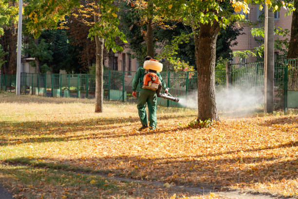 Best Affordable Pest Control Services  in Louisvle, IL