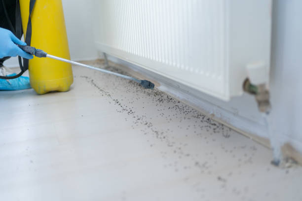 Best Pest Prevention Services  in Louisvle, IL